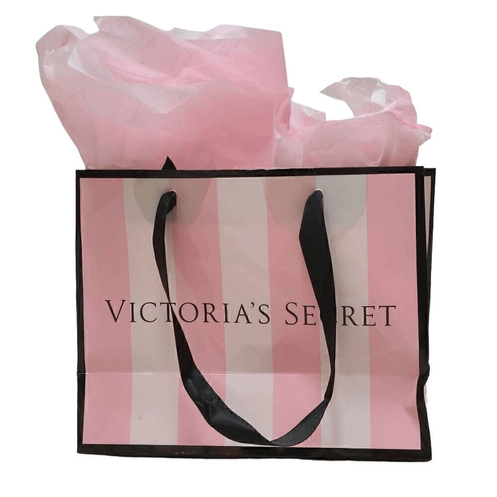 💗 VICTORIA'S SECRET Empty Paper Pink Shopping Gift Bag Cloth Handles w/Tissues
